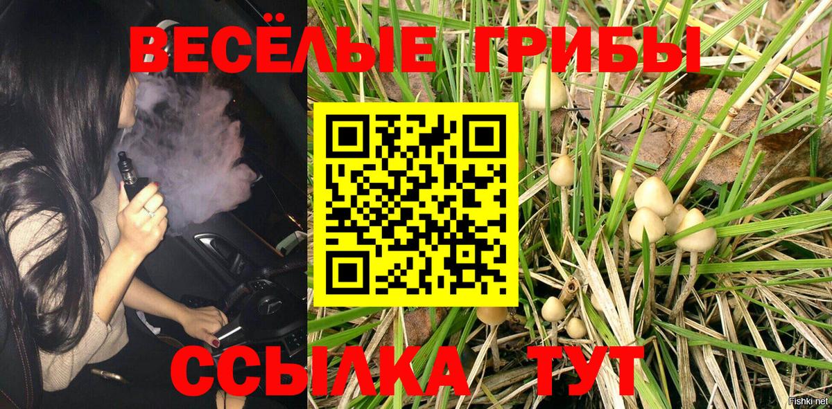 Галлюциногенные грибы прущие грибы Ялуторовск